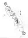 Fig. 09 - BIOPSY PROBE HAVING A TISSUE SPECIMEN COLLECTOR