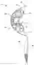 Fig. 01 - Hands-free breast pump with balanced reciprocating drive