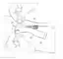 Fig. 01 - Dressing for fixing and protecting a needle
