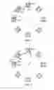 Fig. 06 - Implantable prosthesis having through-holes