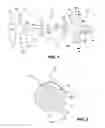 Fig. 02 - Mandrels supporting medical devices during processing of the medical devices