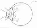 Fig. 01 - ADJUSTABLE INTRAOCULAR LENS SYSTEM