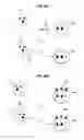 Fig. 15 - Robot device, method of controlling robot device, and program