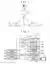 Fig. 02 - CONGESTION LEVEL DISPLAY APPARATUS, CONGESTION LEVEL DISPLAY METHOD, AND CONGESTION LEVEL DISPLAY SYSTEM