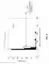 Fig. 10 - Anomaly detection for road user charging systems