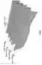 Fig. 09 - Determine field fractures using geomechanical forward modeling