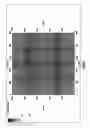 Fig. 06 - Method for integrated inversion determination of rock and fluid properties of earth formations