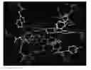 Fig. 01 - Method of predicting protein-ligand docking structure based on quantum mechanical scoring