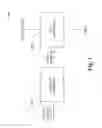 Fig. 02 - FLEXIBLE SHIP SCHEDULES AND DEMAND AGGREGATION