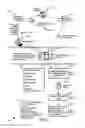 Fig. 02 - Apparatus and method for perusing selected vehicles having a clean title history