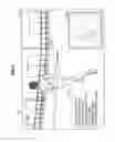 Fig. 15 - Information processing device, image output method, and program