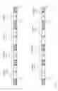 Fig. 05 - Fast identification of complex strings in a data stream