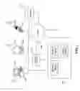 Fig. 02 - Dynamically processing an event using an extensible data model