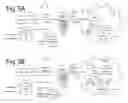 Fig. 05 - User authentication system