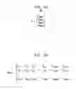 Fig. 03 - Hard input low density parity check decoder