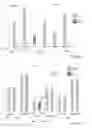 Fig. 07 - Persistent  formatting for interactive charts