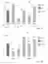 Fig. 08 - Persistent  formatting for interactive charts