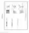Fig. 16 - SERVER, SYSTEM, INTERACTIVE TOOL AND METHOD TO MANAGE DATA RELATED TO OBJECTS