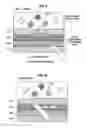 Fig. 09 - INFORMATION PROCESSING APPARATUS, INFORMATION PROCESSING METHOD AND PROGRAM