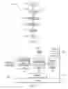 Fig. 03 - HYPERVISOR FOR STARTING A VIRTUAL MACHINE