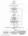Fig. 08 - Display apparatus, authentication method, and program