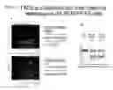 Fig. 04 - Organisms homozygous for targeted modification