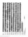 Fig. 02 - Transgenic Cells and Chickens Expressing RIG-I