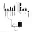 Fig. 04 - Transgenic Cells and Chickens Expressing RIG-I