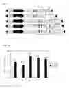 Fig. 02 - Method of expression of foreign gene in plant induced by chemical substance