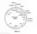 Fig. 49 - Methods for using artificial polynucleotides and compositions thereof to reduce transgene silencing