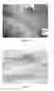 Fig. 09 - Mat for reducing the disturbance of particulate matter and liquids by wind