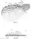 Fig. 09 - Article of footwear with multiple cleat systems