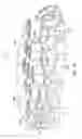 Fig. 11 - Article of footwear with multiple cleat systems