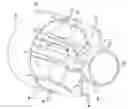 Fig. 01 - System and method for a combustor nozzle