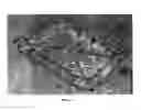 Fig. 13 - Systems and methods for freezing, storing and thawing biopharmaceutical materials