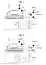Fig. 02 - Sensor system with close-loop-adsorption circulation