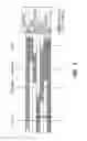 Fig. 04 - Method of preventing unauthorized movement of a transmission shift mechanism