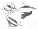 Fig. 01 - OXYGEN AND AROMATHERAPY DELIVERY APPARATUS FOR A MASSAGE TABLE
