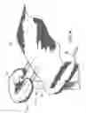 Fig. 05 - OXYGEN AND AROMATHERAPY DELIVERY APPARATUS FOR A MASSAGE TABLE