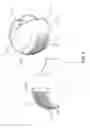 Fig. 03 - Mask
