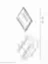 Fig. 07 - Disposable bleaching cleaning pad