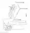 Fig. 12 - Inflatable structure for packaging and associated apparatus and methods
