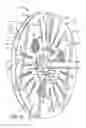 Fig. 07 - REEL FOR USE WITH CABLE ELEMENTS