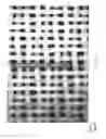 Fig. 05 - Structured Forming Fabric, Papermaking Machine and Method