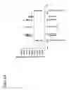 Fig. 11 - Flexible printed board and method of manufacturing same