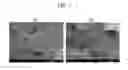 Fig. 06 - Conductive paste containing silver-decorated carbon nanotubes