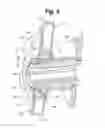 Fig. 06 - Bearing assembly