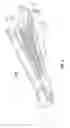 Fig. 04 - Surgical fastener applying apparatus
