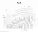 Fig. 10 - Adjustable arc irrigation sprinkler nozzle configured for positive indexing