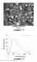 Fig. 04 - Inorganic mesoporous materials with chiral nematic structures and preparation method thereof